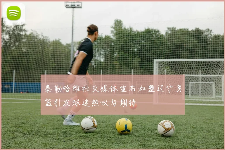 泰勒哈维社交媒体宣布加盟辽宁男篮引发球迷热议与期待