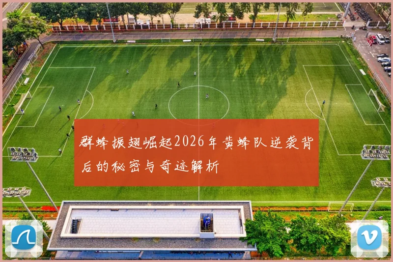 群蜂振翅崛起2026年黄蜂队逆袭背后的秘密与奇迹解析